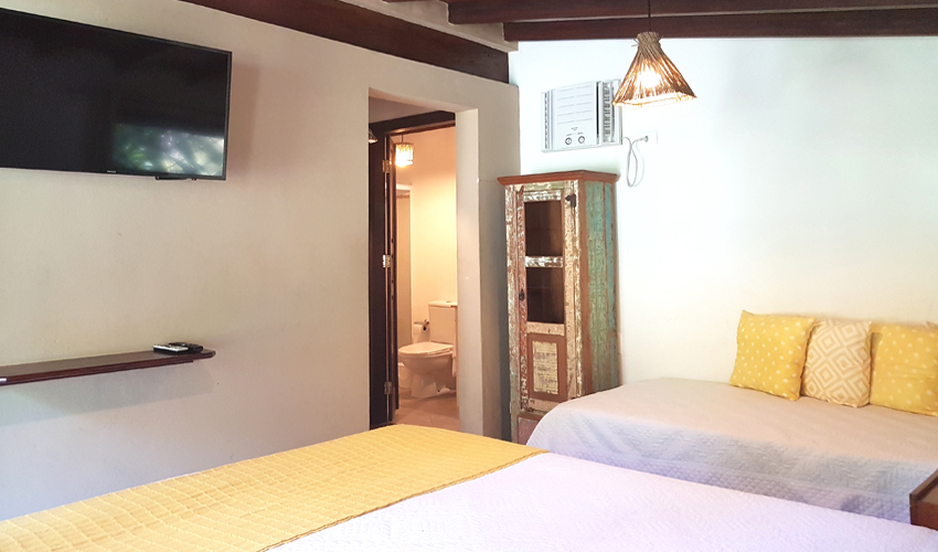 Bromelia_quarto_2_Hbook_Site